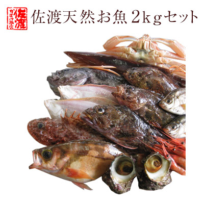 楽天市場 送料無料 佐渡天然お魚セット約三キロ入って 4280 とにかくいろんな魚が入ってます かすけ