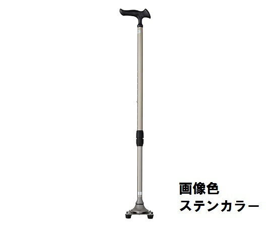 【送料無料】かるがも4ポイントステッキ　ステンカラー WB3826【お取り寄せ】｜風船唐綿 10,640円