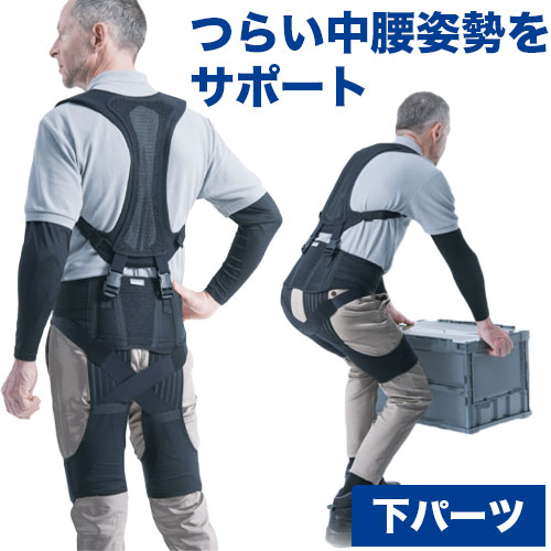 楽天市場】ダイヤ工業 DAIYA bonbone ワーキングアシストLB かがむ