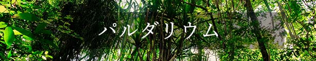 楽天市場】【送料無料】 富士山 溶岩石 ストーンディフューザー アロマ 森の香り 浄化 空気清浄 アロマストーン 自宅で森林浴 美容 ダイエット  半身浴 バナジウム : FKplanning楽天市場店