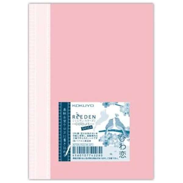 楽天市場】【数量限定特価品】サンアイ 両開きクリアホルダー 10枚