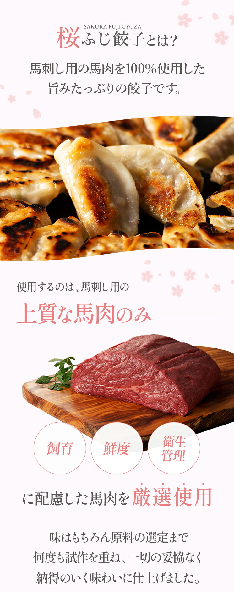 桜ふじ餃子【12個入り】生餃子馬肉野菜おかずおつまみ惣菜ぎょうざギョウザグルメ【フジチク】