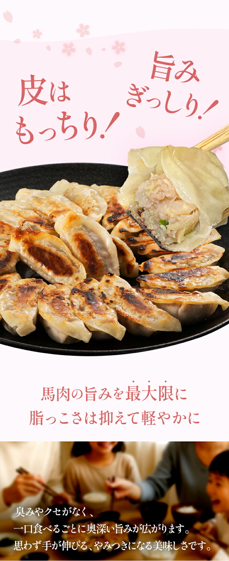 桜ふじ餃子【12個入り】生餃子馬肉野菜おかずおつまみ惣菜ぎょうざギョウザグルメ【フジチク】