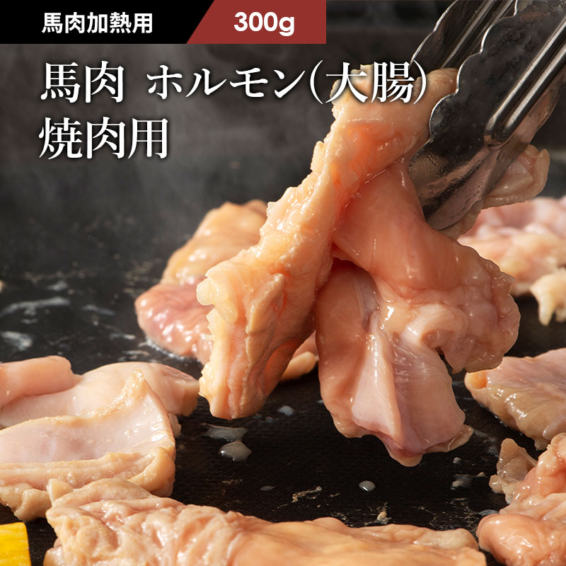 驚きの安さ 馬 ホルモン 焼肉用 300g 肉 馬肉 バーベキュー BBQ 6人前 牧場直送