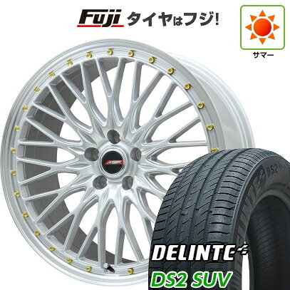 【新品国産車用5穴114.3】 夏タイヤ ホイール4本セット 255/45R20 デリンテ DS2 SUV(限定) プレミックス MER PROMESH シルバー/リムポリッシュ 8.5J 20インチ(送料無料)