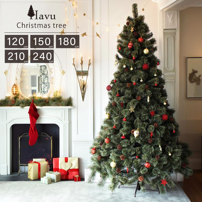 完売【可愛い野生のもみの木さん/クリスマスツリー】樅の木/モミの木/今年2年生 楽天市場】モミの木 【もみの木高さ2.5メートル】クリスマス