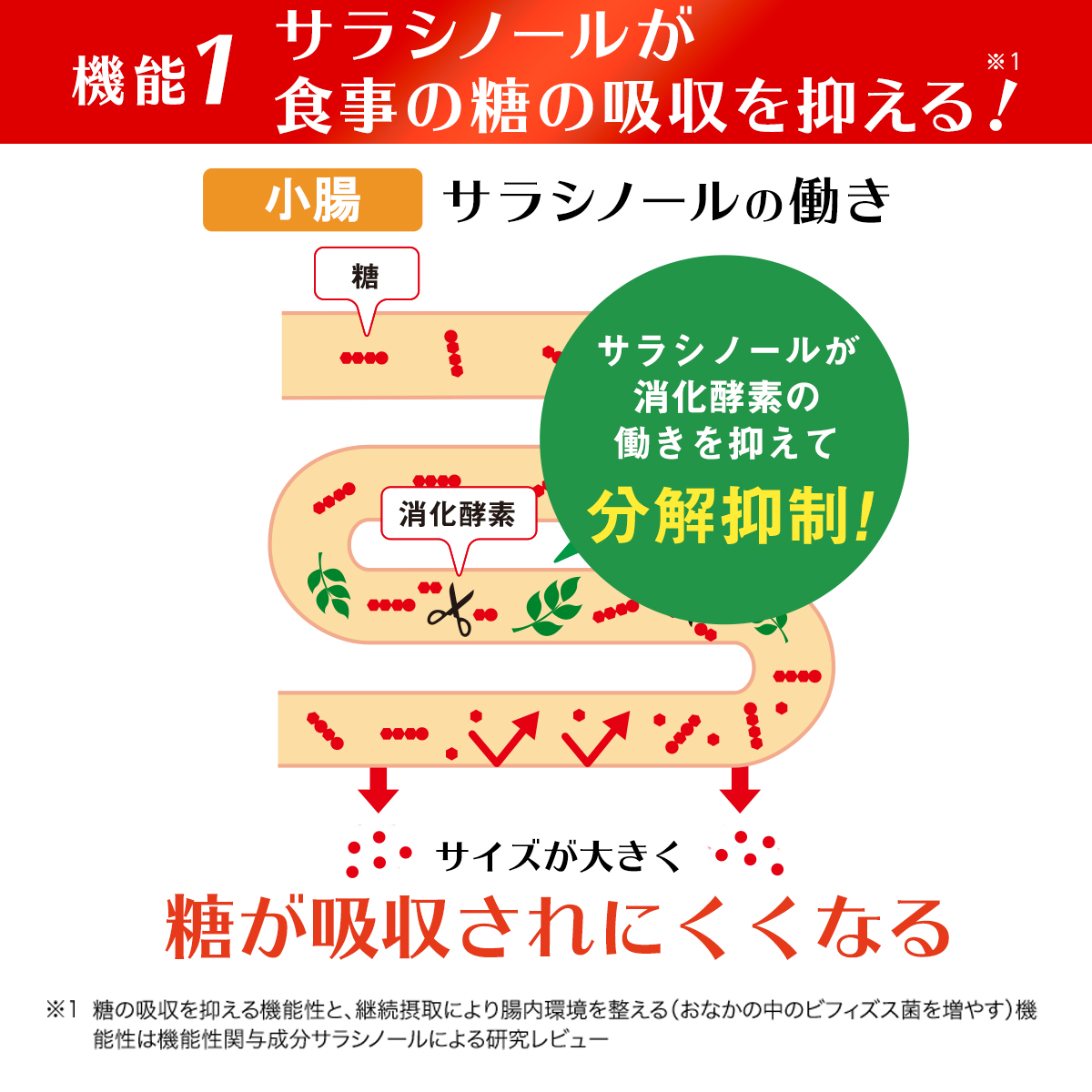 大切な人へのギフト探し メタバリアEX 30日分 240粒 袋タイプ サプリメント サプリ サラシア 腸内環境 糖質 腸活 脂肪 体重 健康食品  富士フイルム おなか BMI 高め 健康管理 送料無料 機能性表示食品 turbonetce.com.br