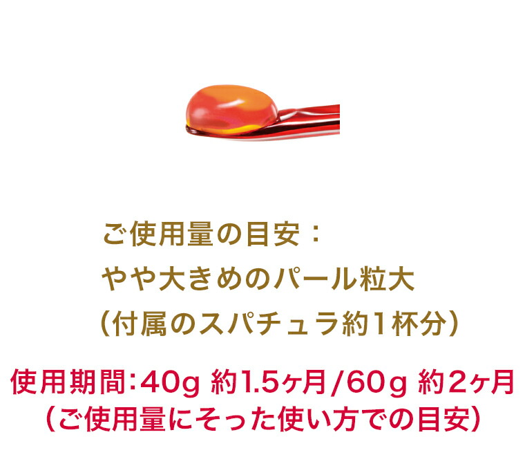 新入荷 アスタリフトジュエリーアクアリスタ40ｇ先行美容液x2個の+