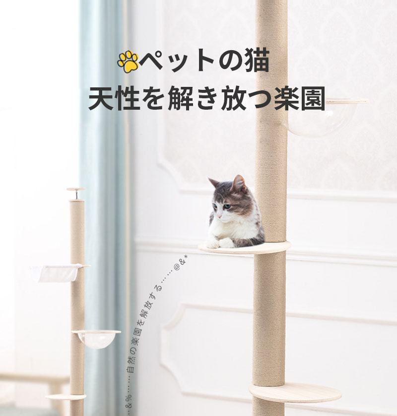 ニトリ木製突っ張り型キャットタワー 楽天市場】癒しのキャットタワー 突っ張り型（ソラ） ニトリ メーカー