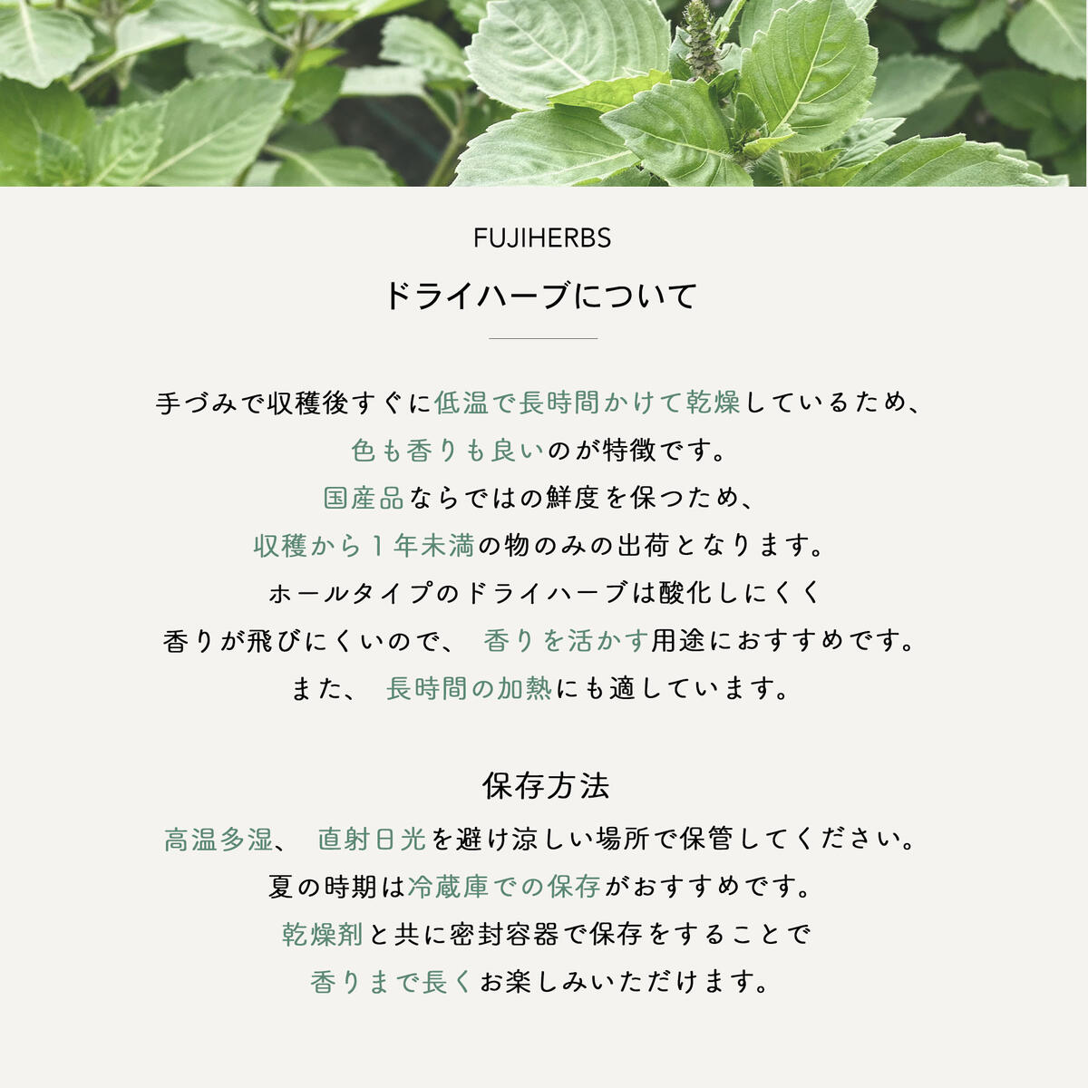 楽天市場 山梨県産 ドライハーブ レモングラス 100g 自然栽培 Fuji Herbs