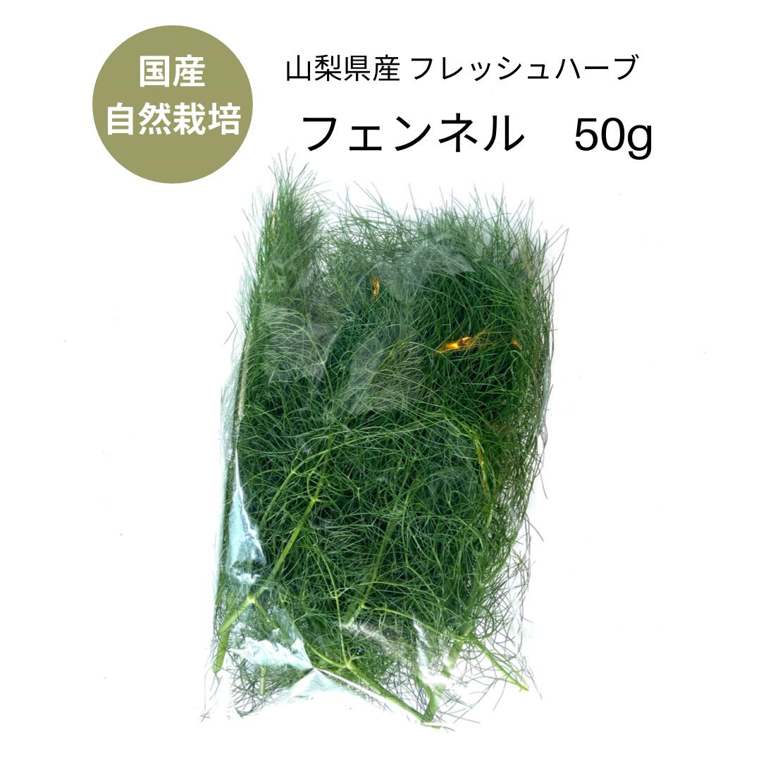 再入荷 フェンネル 国産 フレッシュハーブ 農薬不使用 50g ハーブ シングルハーブ 香草 フレンチ 卵 魚 マリネ 料理 ブーケガルニ 葉 トッピング 飾り スパイス ハーブティー お茶 おうち時間 デカフェ ノンカフェイン 富士山 山梨県産 Herb Tea Toyama Nozai Co Jp