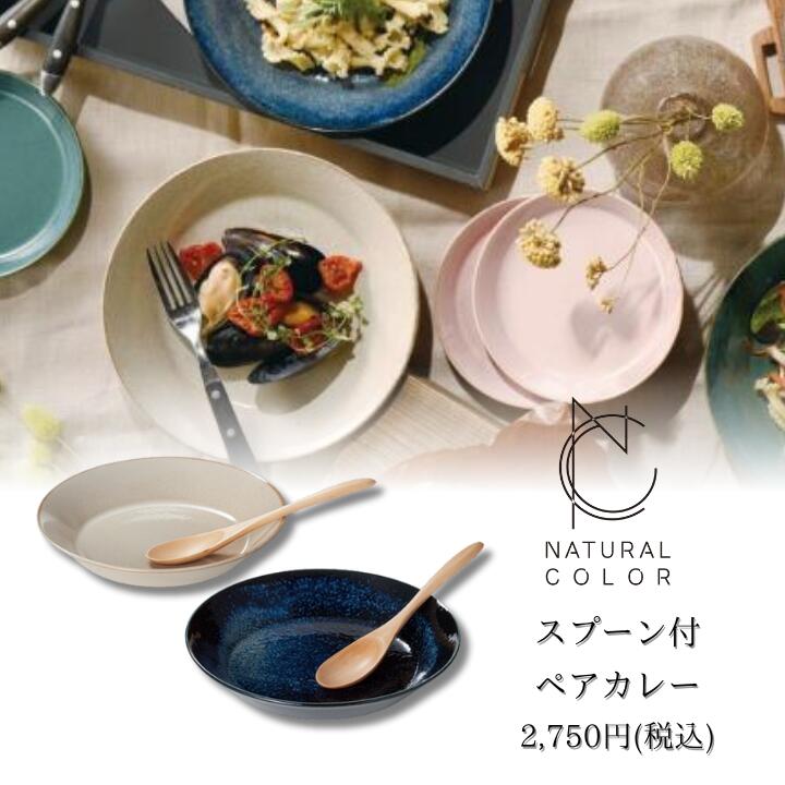 楽天市場】【一部即納】釉変り カレー＆サラダ揃【直径22cm