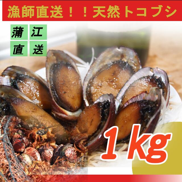 とこぶし 1kg 値段