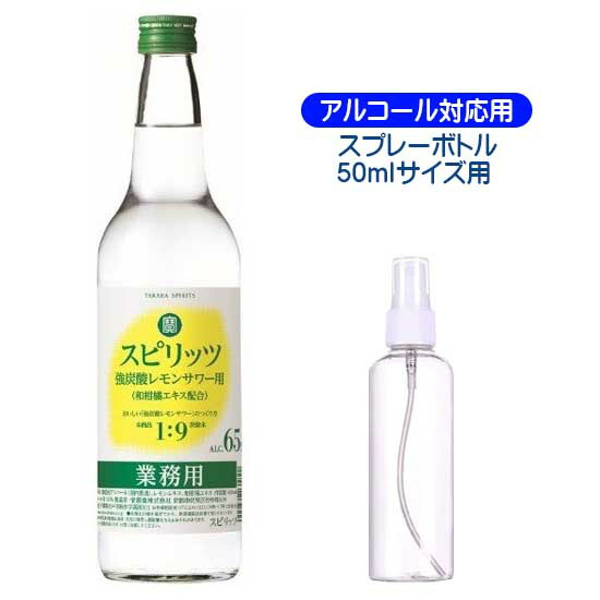 2024年のクリスマスの特別な衣装 宝焼酎 寶スピリッツ65％ 600ml