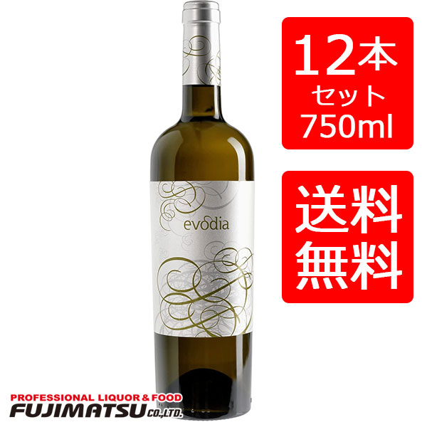 【一部送料無料】ボデガス・サン・アレハンドロ エヴォディア 白 750ml ×12本（１ケース）evodia スペイン エボディア 母の日 ギフト 御祝 熨斗