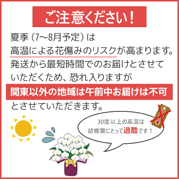 胡蝶蘭 ミディ 3本立ち お中元 お供え お祝い お誕生日祝い ギフト 中輪 供花 内祝い 叙勲 就任祝い 必勝 新築祝い 月間優良ショップ 桜姫 移転 祝い 結婚祝い 花 記念日 退職祝い 選べる6色 開店祝い 在庫あり 中輪 胡蝶蘭 ミディ 3本立ち お中元 お供え お祝い お誕生日祝い ギフト 中輪 供花 内祝い 叙勲 就任祝い 必勝 新築祝い 月間優良ショップ 桜姫 移転 祝い 結婚祝い 花 記念日 退職祝い 選べる6色 開店祝い 在庫あり 中輪