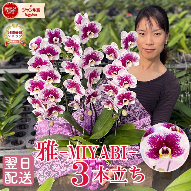 百貨店大売り出し！6/4(木)20:00～6/11(木)1:59