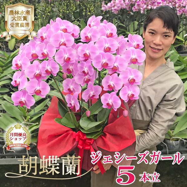 百貨店大売り出し！6/4(木)20:00～6/11(木)1:59