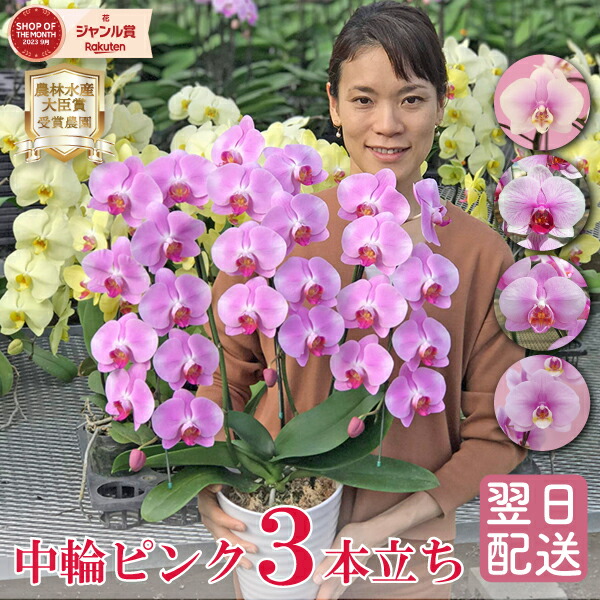 百貨店大売り出し！6/4(木)20:00～6/11(木)1:59