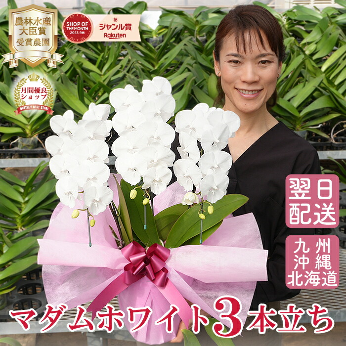 百貨店大売り出し！6/4(木)20:00～6/11(木)1:59