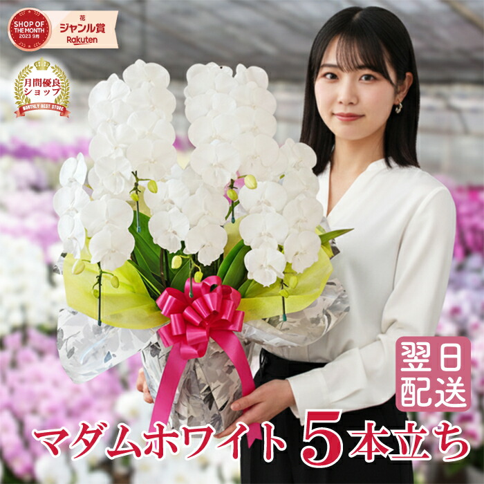 百貨店大売り出し！6/4(木)20:00～6/11(木)1:59