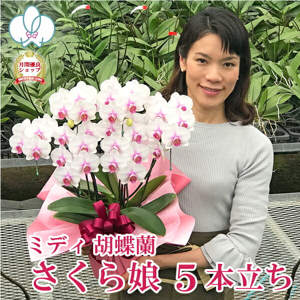 百貨店大売り出し！6/4(木)20:00～6/11(木)1:59
