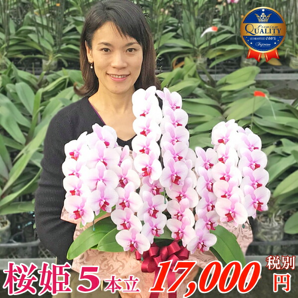 百貨店大売り出し！6/4(木)20:00～6/11(木)1:59