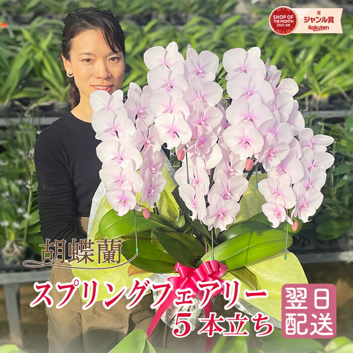 百貨店大売り出し！6/4(木)20:00～6/11(木)1:59