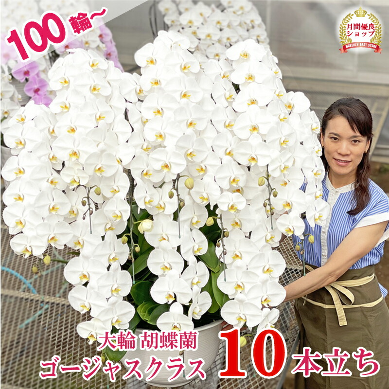 百貨店大売り出し！6/4(木)20:00～6/11(木)1:59