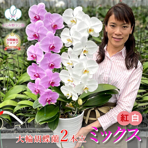 百貨店大売り出し！6/4(木)20:00～6/11(木)1:59