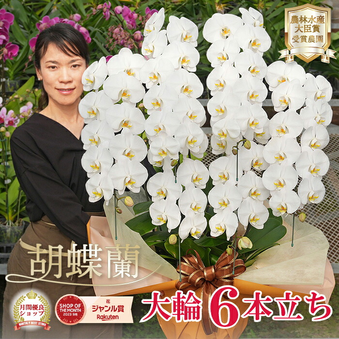 百貨店大売り出し！6/4(木)20:00～6/11(木)1:59