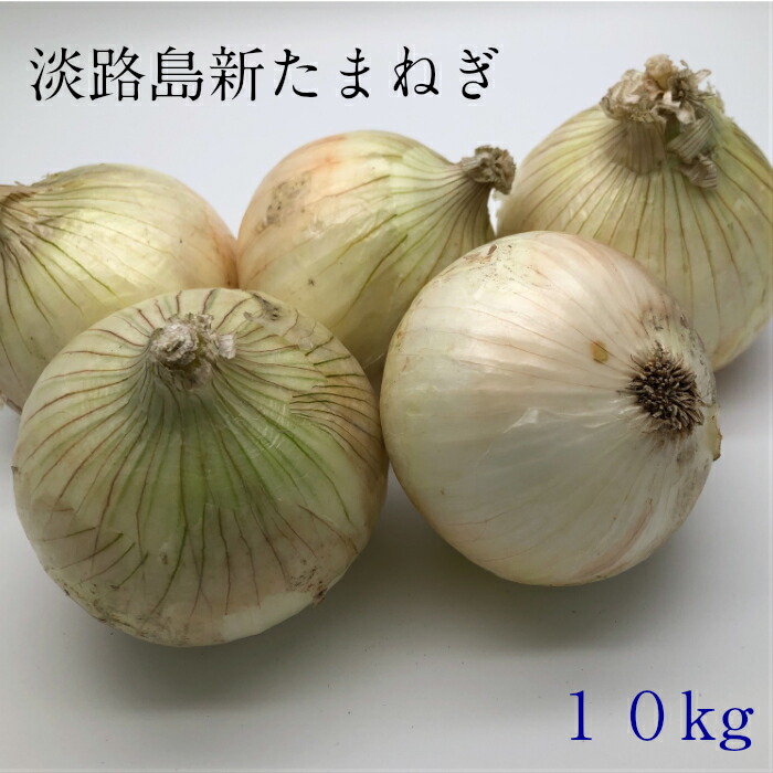 淡路島産新たまねぎ 　10kg　　中生品種　ターザン他　おまかせサイズ 　送料無料（北海道・沖縄を除く）画像