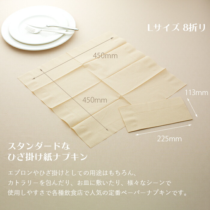 2プライ紙ナプキンバガス/未晒し1ケース/2000枚(50枚パック×40)【業務用】【送料無料】