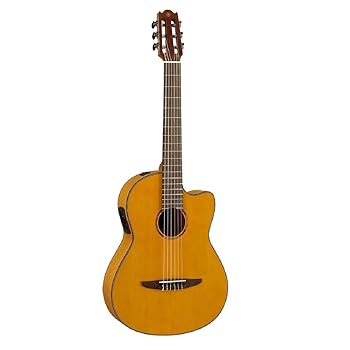 アヌエヌエ　bird M77(E)美品 aNueNue aNN-M77|ドルフィンギターズ