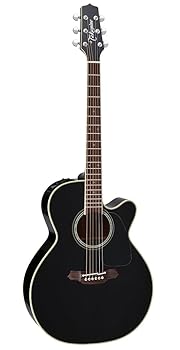 タカミネギター　DMP551C WR 楽天市場】TAKAMINE DMP551C WR【スペア弦＆レビュー特典付き