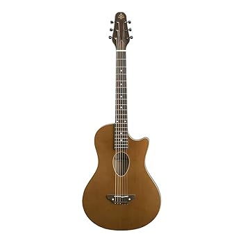 楽天市場】【中古】世界で一番美しいアメリカン・ギター大名鑑