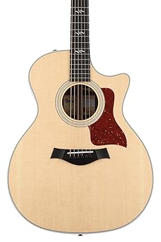 美品 Taylor 414ce Rosewood V-Class 生産終了モデル 楽天市場】Taylor テイラー 414ce Rosewood V-Class ローズウッド