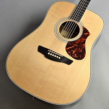 楽天市場】James ジェームス/アコースティックギター/J-300A