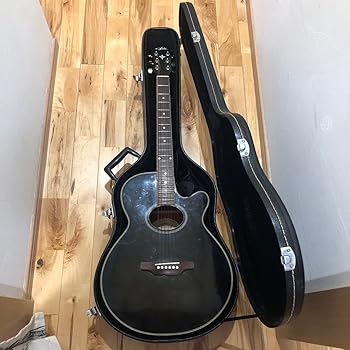 楽天市場】【中古】 REEDMAN リードマン エレアコ RM401 現状品