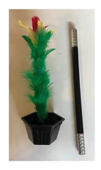 【中古】ロンドンマジックワークス フラワートリック出演 - 薄い空気からブーケが現れます