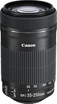楽天市場】【中古】Canon キヤノン 望遠ズームレンズ EF-M55-200mm F4
