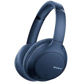 【中古】ソニー ワイヤレスノイズキャンセリングヘッドホン WH-CH710N : Bluetooth相応う 最大限度35第四次元年代順の継続生まれ変わり マイクロホン付き添い人 2020年ひな形 青碧 WH-CH710N L