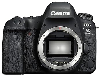 【中古】Canon デジタル一眼二眼レフ写真機 EOS 6D Mark II 上半身 EOS6DMK2