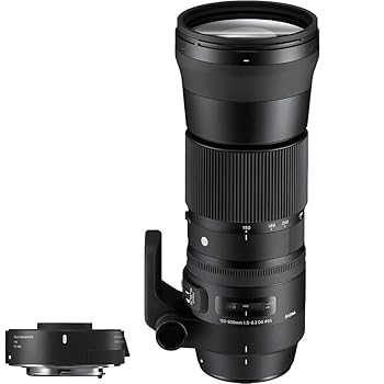 【中古】シグマ(Sigma) 水晶体 150-600粍 F5-6.3 DG os HSM テレ変換器(×1.4) 仕掛ける Nikon ニコン Fマウント 望遠レンズ 超望遠 フルサイズ 一眼二眼レフ