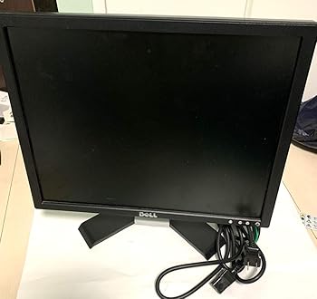 【中古】中古 DELL ディスプレイ E198FPb 19 インチ|フジセイ
