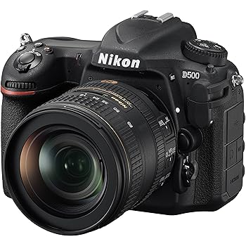 【中古】Nikon デジタル一眼二眼レフ写真機 D500 水晶体一揃いの道具 AF-S DX NIKKOR 16-80/2.8-4E ED VR D500LK16-80