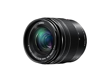 【中古】パナソニック(Panasonic) 判定基準望遠レンズ マイクロフォーサーズ用 ルミックス G VARIO 12-60粍/F3.5-5.6 ASPH./POWER O.I.S H-FS12060