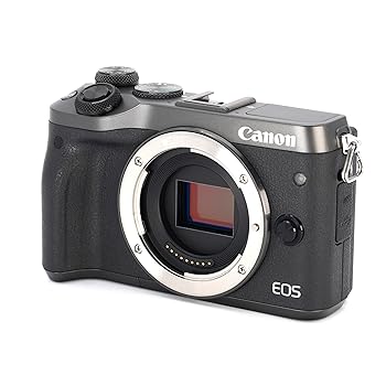 【中古】Canon 銀鏡受け答え一眼写真機 EOS M6 上半身(しろがね色) EOSM6SL-BODY