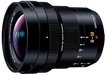 【中古】パナソニック(Panasonic) 超広角ズームレンズ マイクロフォーサーズ用 ライカ DG VARIO-ELMARIT 8-18mm F2.8-4.0 H-E08018