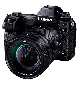 【中古】パナソニック(Panasonic) フルサイズ 鏡鑑受け答え一眼写真機 ルミックス S1M 標準尺度望遠レンズ一揃いの道具 2420万絵素 黒いこと DC-S1M-K